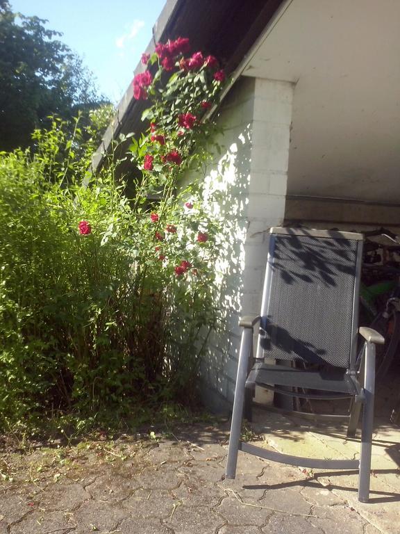 Ferienwohnung Daehne Allagen 外观 照片